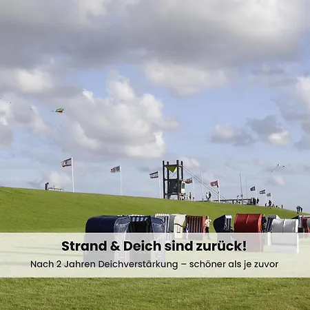 Nordsee-auszeit - Hafenruh - Haustierfrei - 500 M Zur Seehundstation - Ideal Fuer Familien & Paare