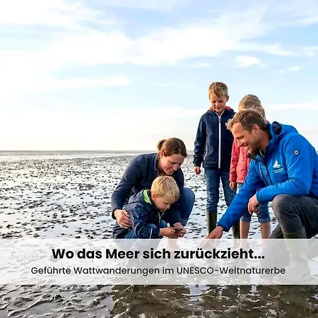 Nordsee-auszeit - Hafenruh - Haustierfrei - 500 M Zur Seehundstation - Ideal Fuer Familien & Paare Lejlighed