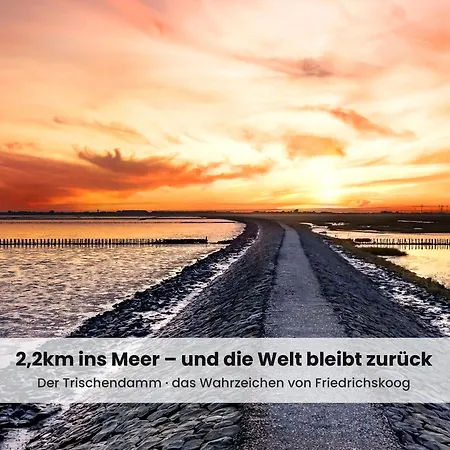 Nordsee-auszeit - Hafenruh - Haustierfrei - 500 M Zur Seehundstation - Ideal Fuer Familien & Paare Lägenhet *