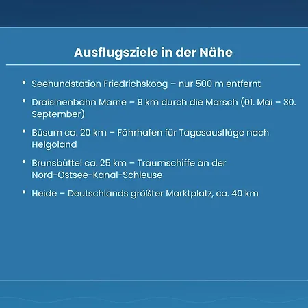 Nordsee-auszeit - Hafenruh - Haustierfrei - 500 M Zur Seehundstation - Ideal Fuer Familien & Paare Lägenhet *