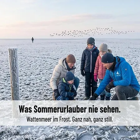 Appartement Nordsee-auszeit - Hafenruh - Haustierfrei - 500 M Zur Seehundstation - Ideal Fuer Familien & Paare Friedrichskoog