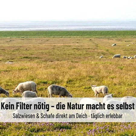 Nordsee-auszeit - Hafenruh - Haustierfrei - 500 M Zur Seehundstation - Ideal Fuer Familien & Paare Appartement Friedrichskoog